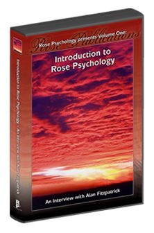 The Sex Connection Bookcover